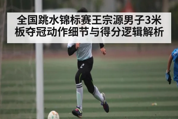 全国跳水锦标赛王宗源男子3米板夺冠动作细节与得分逻辑解析